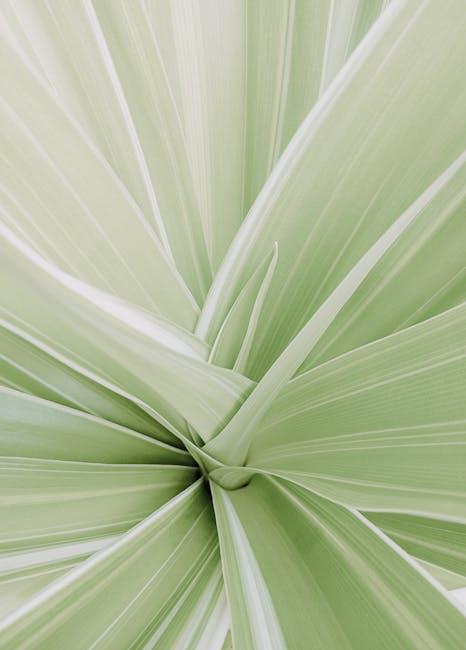 Extreme Close-up of a Plant 