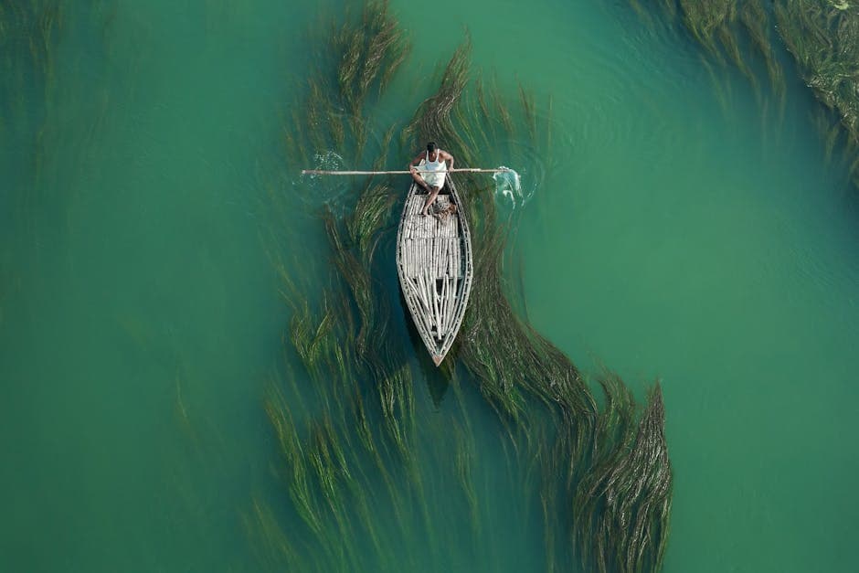 Man on Rowboat on Green Lake