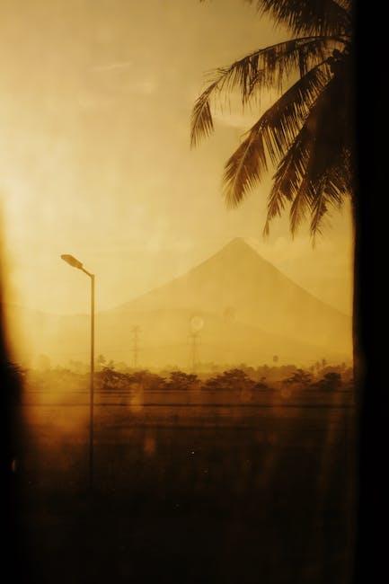 A view of a mountain and a palm tree at sunset