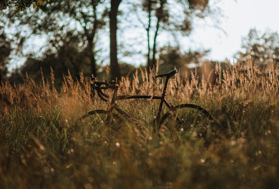 A bicycle is parked in the grass in a field