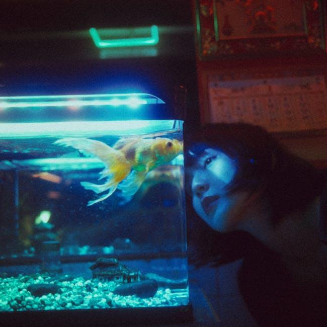 A woman looking at a goldfish in a fish tank