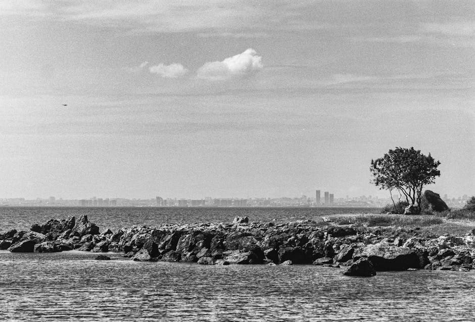 A black and white photo of a beach with trees and rocks