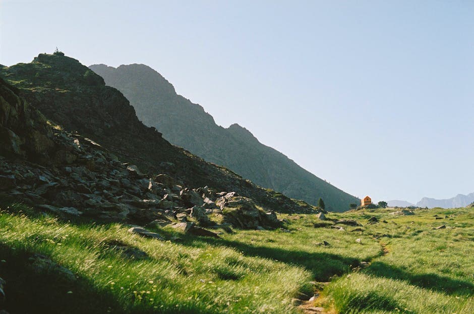 A grassy hillside with a mountain in the background