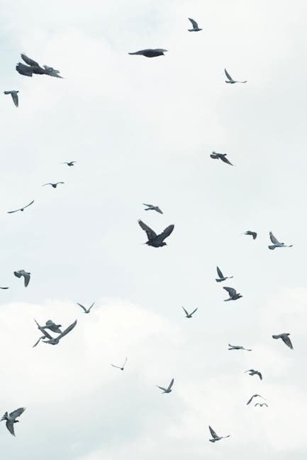 A flock of birds flying in the sky