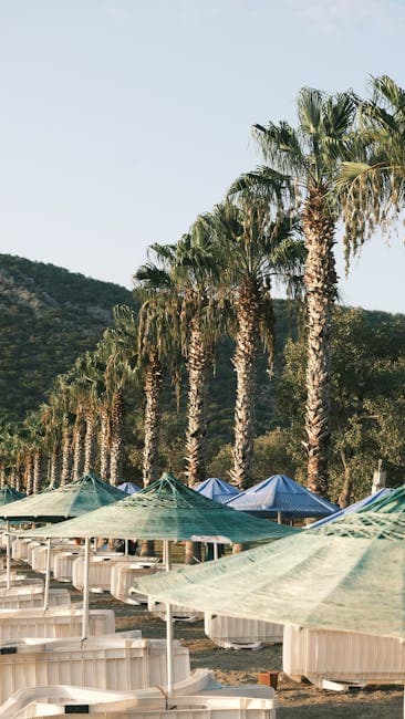 A beach with umbrellas and palm trees