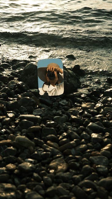 A dog is sitting on the rocks by the water