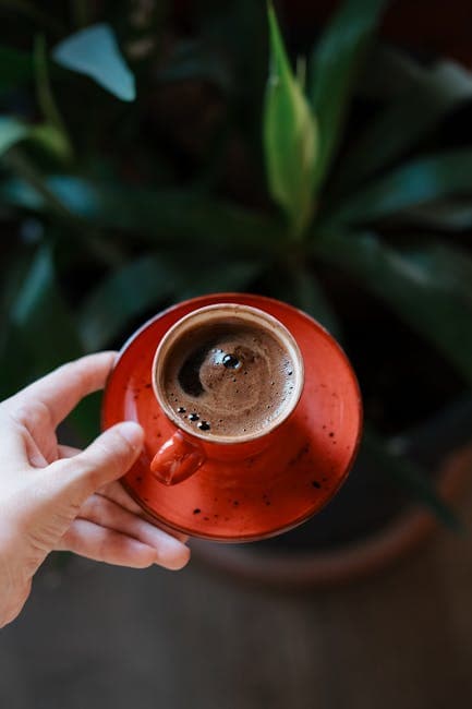 Woman Holding a Cup of Coffee 