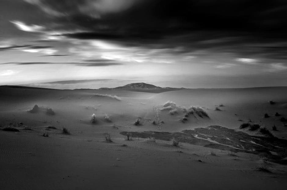 Black and white photograph of a desert landscape