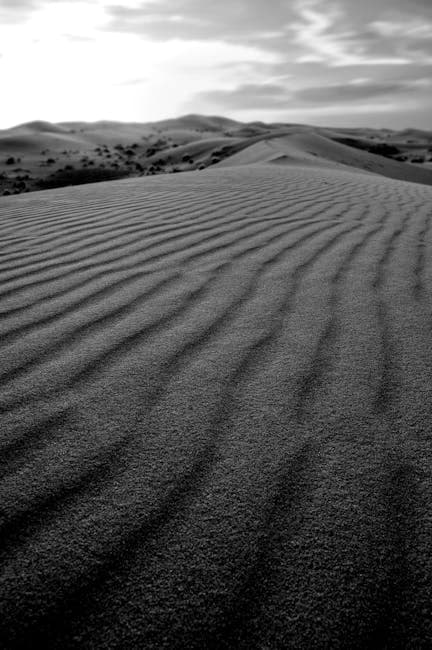 Black and white photograph of sand dunes