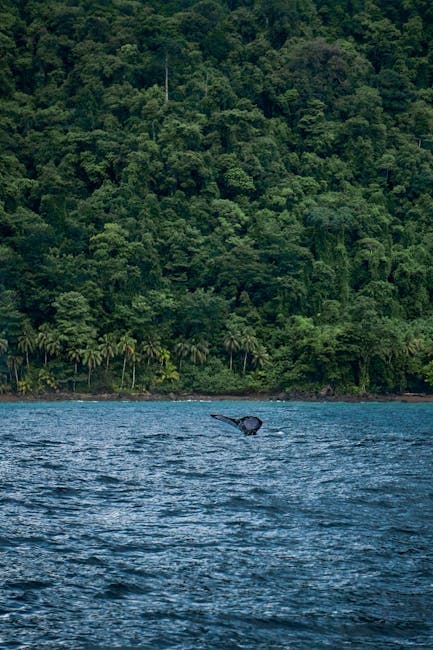 Selva y Mar