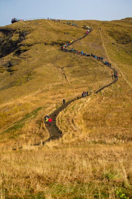 People walking up a steep hill with a sign that says 'the top'