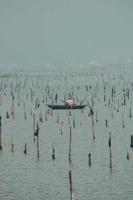 Người lái đò ở Đầm Lập An.