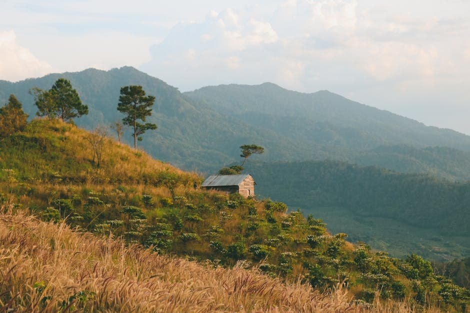 Chiều vàng ươm ở Tà Đùng, Dak Nông.