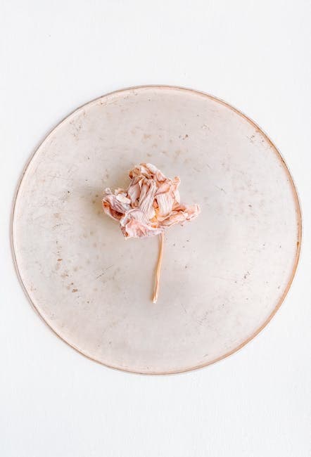 A small flower on a plate with a white background