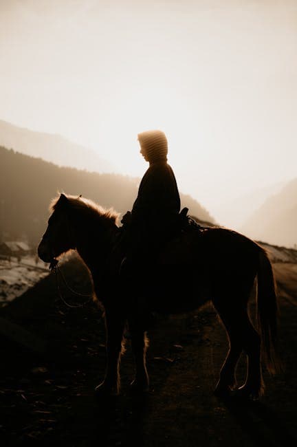 A person riding a horse through a misty landscape