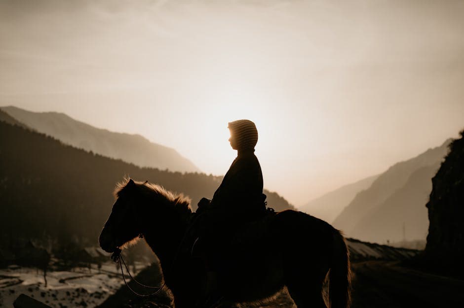 A person riding a horse through a misty landscape