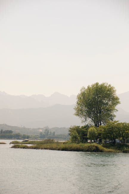 A lake with trees and mountains in the background