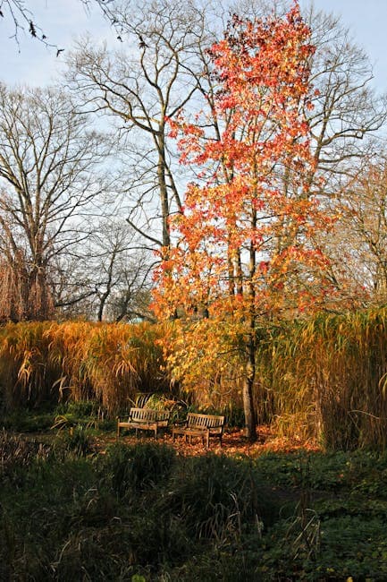 Golden Leaves on Trees 