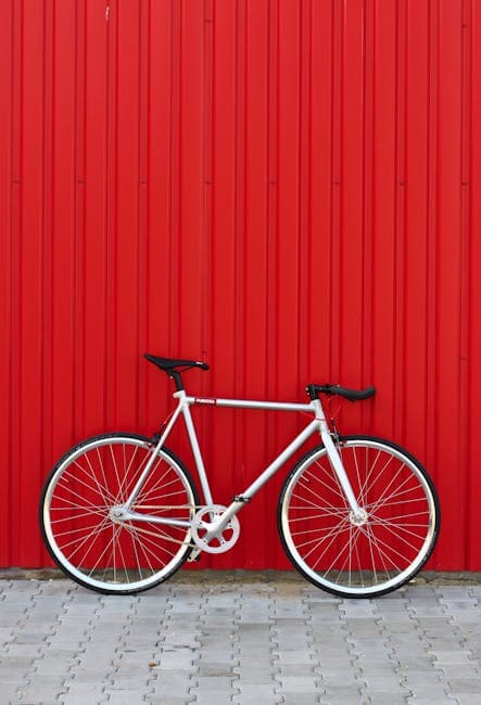 Bike in Front of Red Wall 