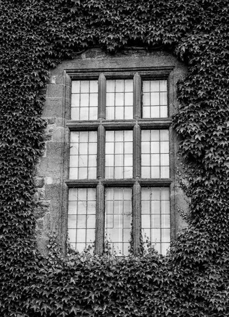 Ivy on Building in Black and White