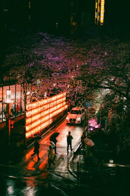 Cars on a Street in Japan at Night 