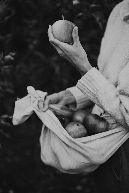 Woman Hand Holding Apple in Black and White