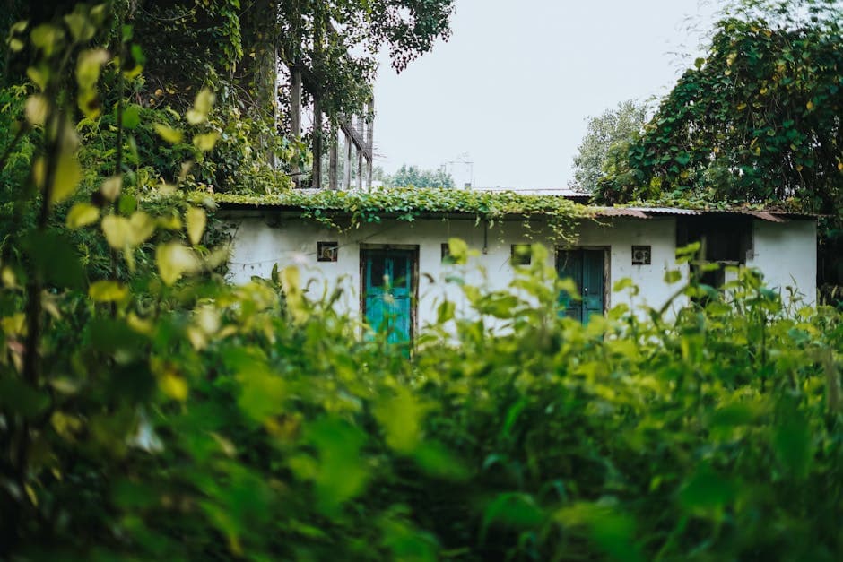 View of Greenery and a Bungalow in the Countryside 