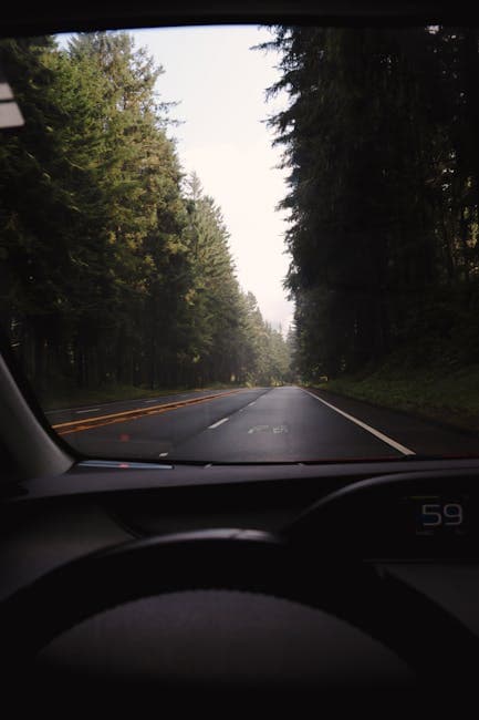 Driving Car on Road in Forest