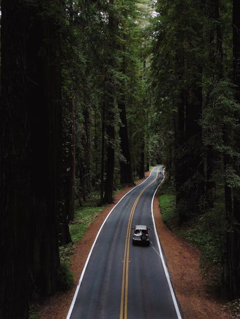 Aerial View of a Car Driving on a Road between the Trees in a Forest