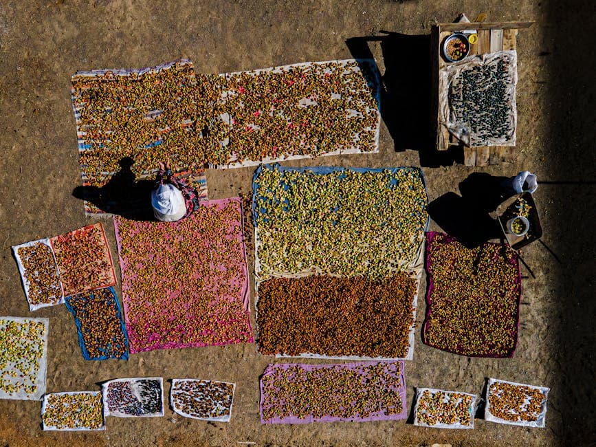 Aerial View of a Person Sitting among Food Spread on Blankets on the Ground 