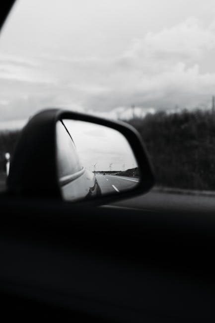 Mirror of a Car in Black and White 