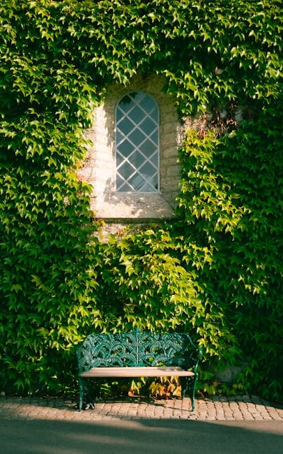 Ivy on Building Wall