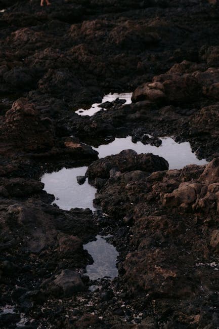 Rocks around Puddle