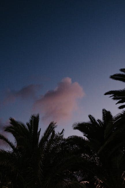 Cloud over Forest at Night