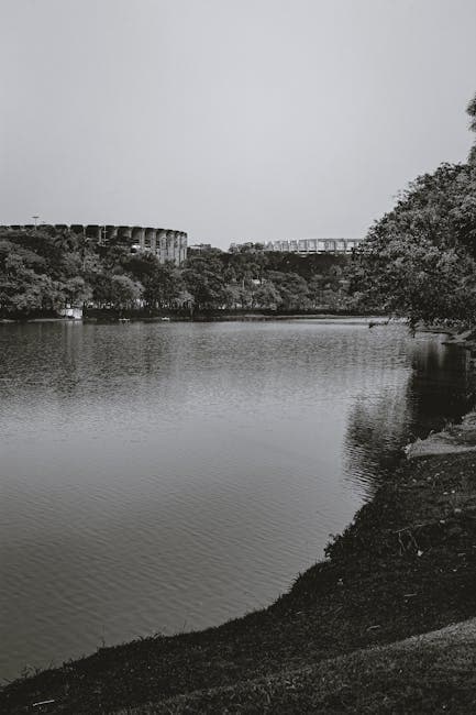 Fair Mineirinho and Mineirao Stadiums by the Lake Pampulha in Belo Horizonte