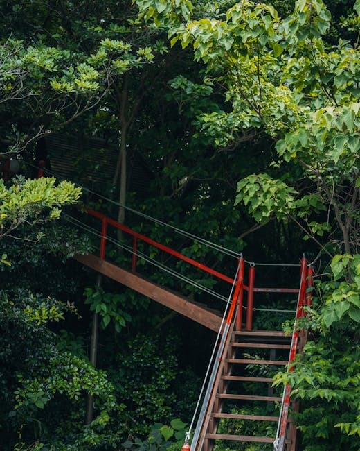 Wooden Staircase Between the Trees