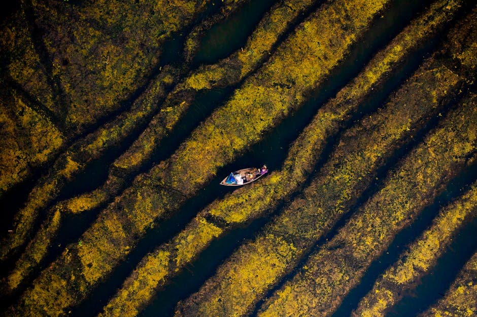 Boat on Narrow Canal on Rural Fields