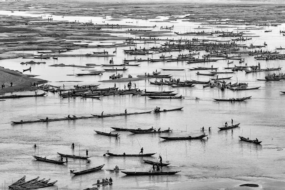 Abundance of Old Boats