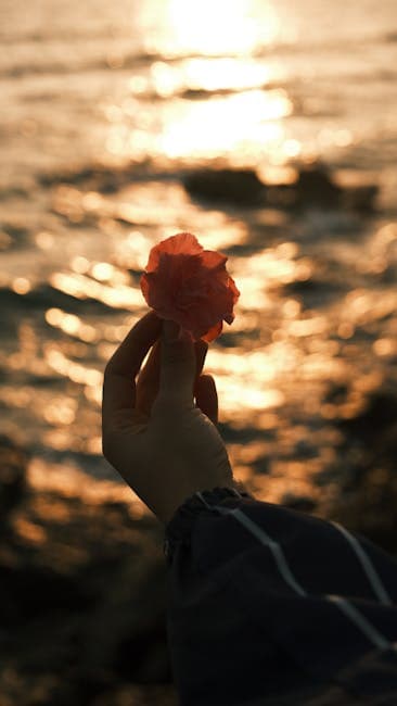 Person Holding a Flower