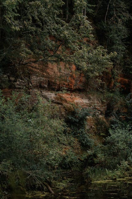 A photo of a river and a rock wall