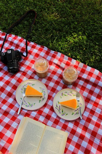 A picnic table with a camera, cheese and a book