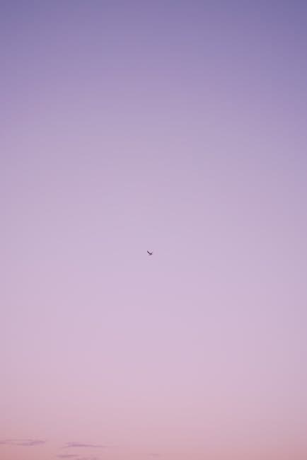 Bird in Clear Sky at Dusk