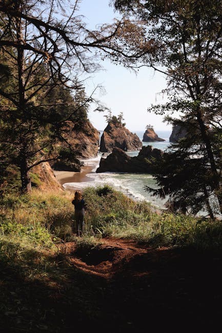 Woman Standing in Forest on Sea Shore