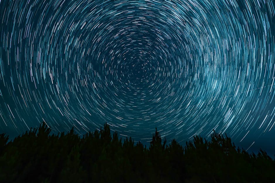 Dazzling Star Trails Over Dark Forest