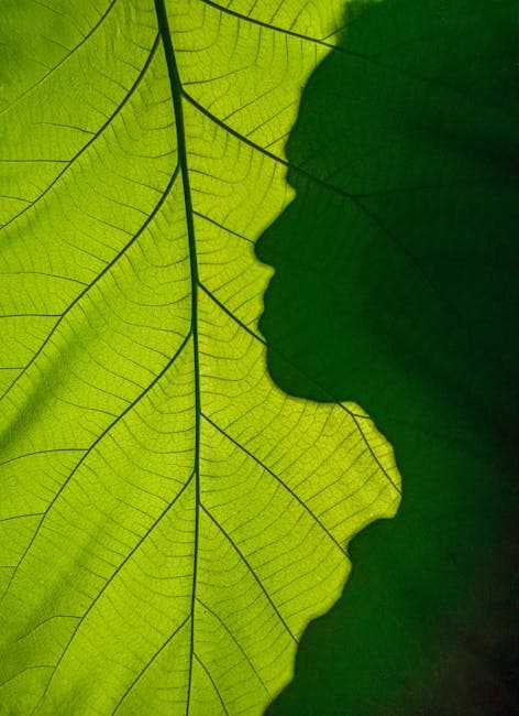 Silhouette Shadow on Vibrant Green Leaf