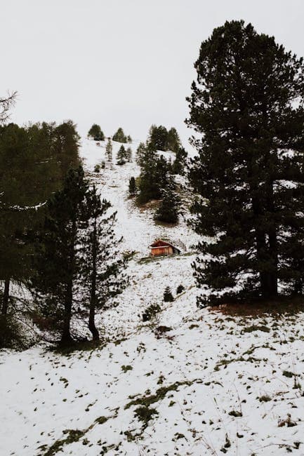 Snowy Mountain Landscape in Canazei, Italy