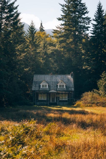 Charming Cottage in Fall Forest Setting