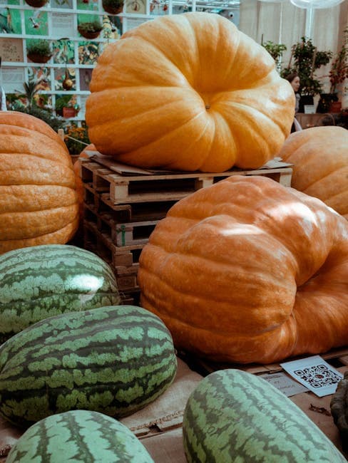 Large Pumpkins and Watermelons on Display