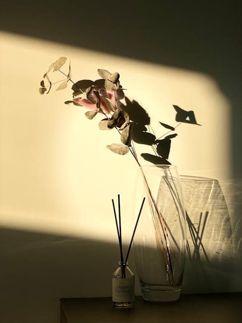 Sunlit Eucalyptus and Reed Diffuser Still Life