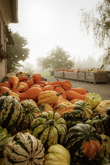 Vibrant Autumn Market in Breisach am Rhein